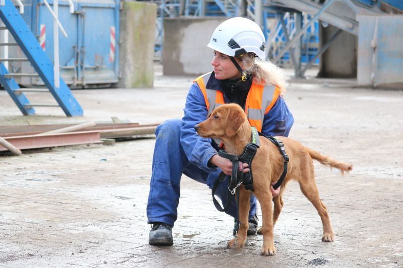 Unieke Speurhondentraining bij SCRN
