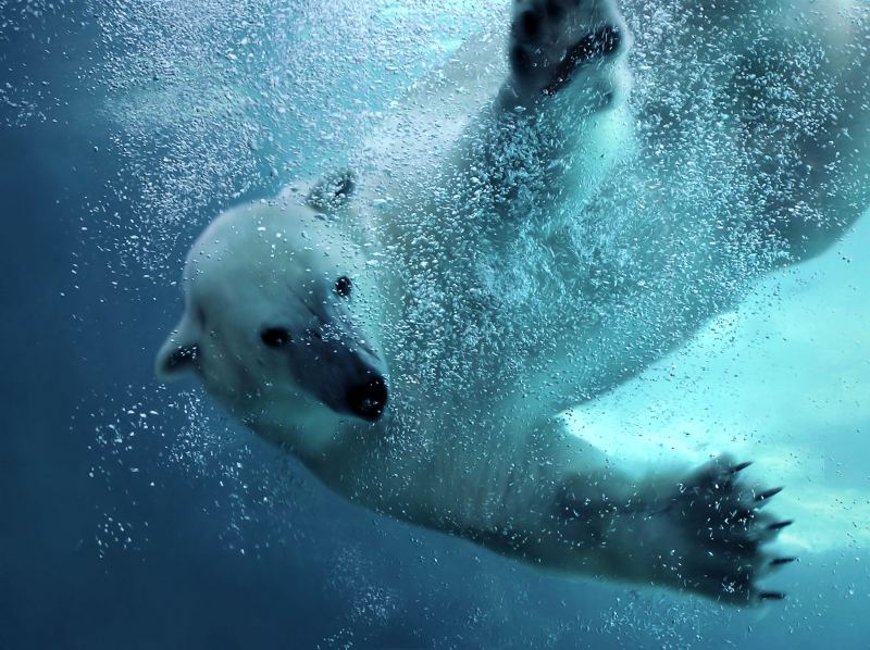 Ontdek de wereld in één dag in Wildlands Zoo, 2 personen