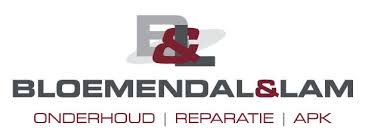 Bloemendal & Lam