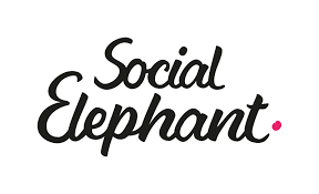 Social elephant