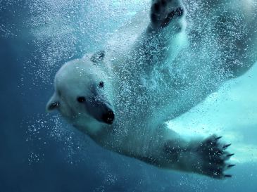 Ontdek de wereld in één dag in Wildlands Zoo, 2 personen