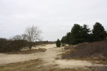 2,5 uur avontuur en verhalen op de Waalsdorpervlakte